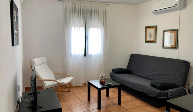 APARTAMENTO ALAMILLO Alto